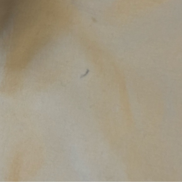 Patagonia Tan Women’s Quandary Pant - size 8 - Picture 12 of 12